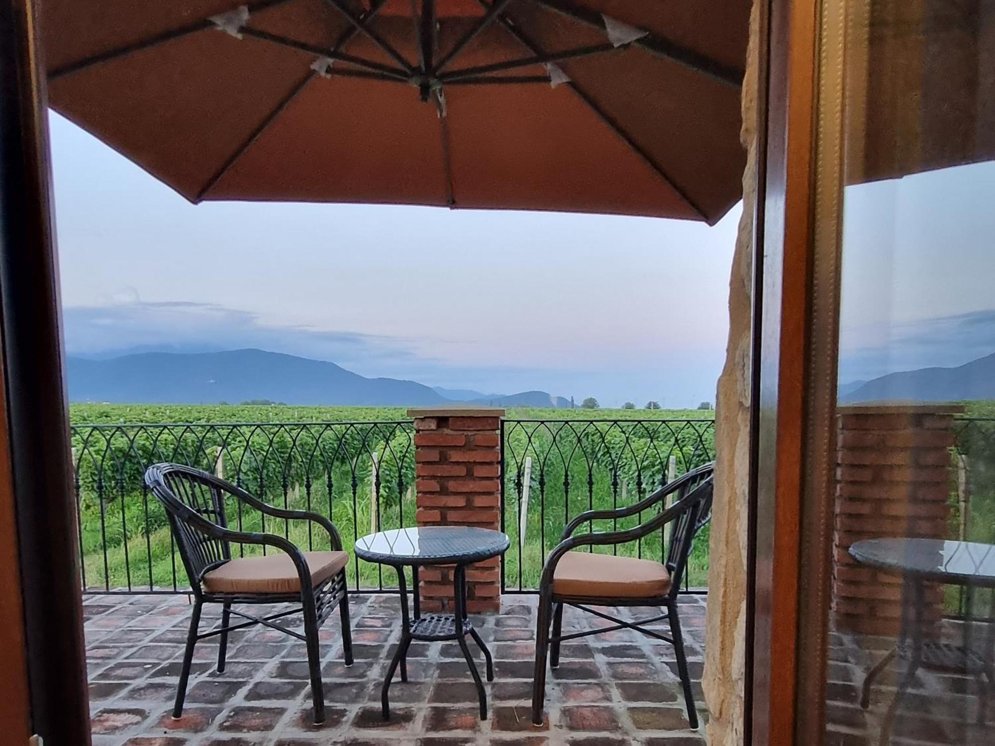 Chateau Davitiani Shilda Cameră foto