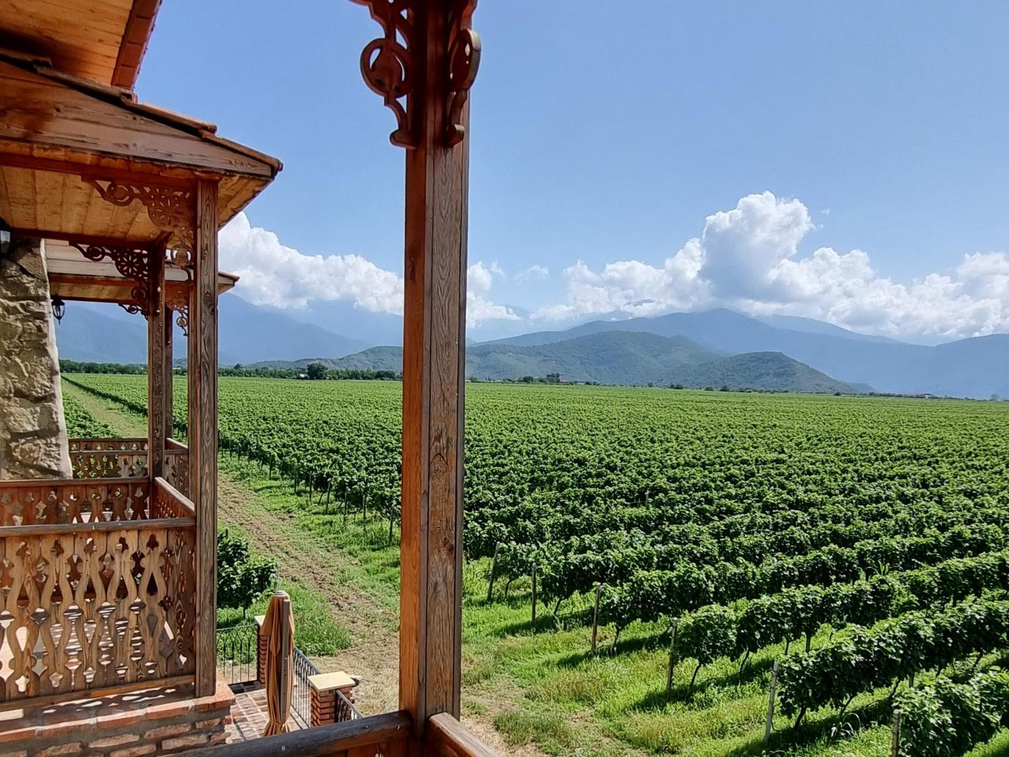 Chateau Davitiani Shilda Cameră foto