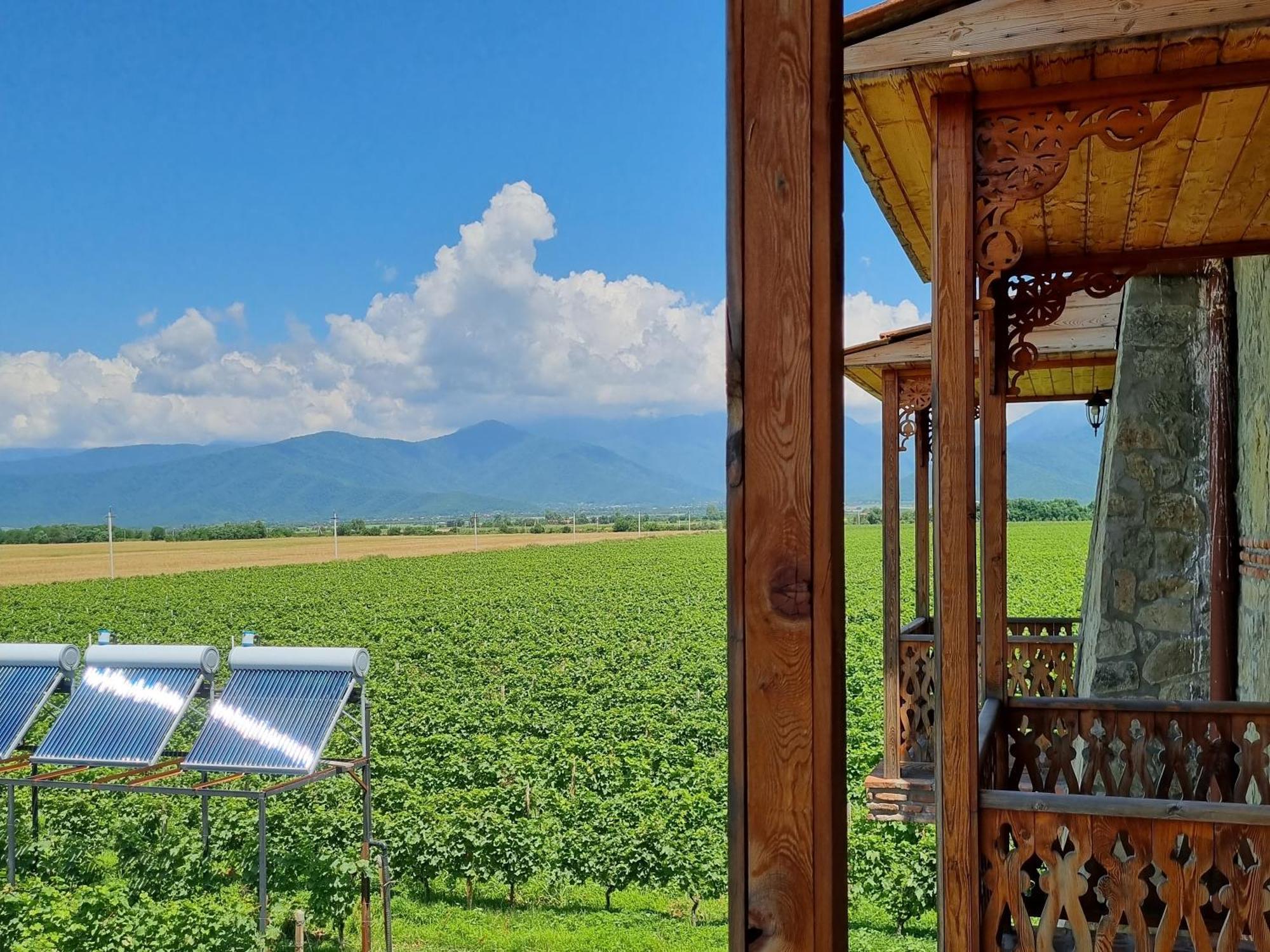 Chateau Davitiani Shilda Cameră foto
